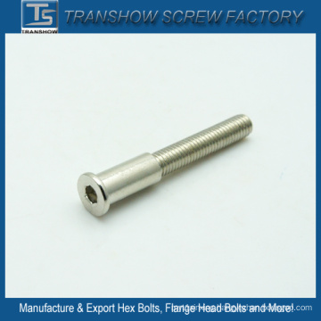 Stainless Steel Special Socket Head Screw